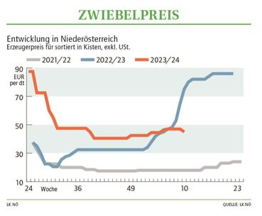 Grafik Zwiebelpreis 10_2024.jpg © LK NÖ