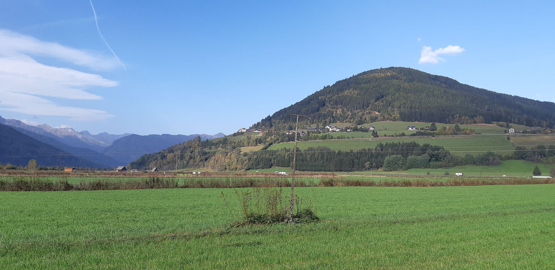 Wühlmäuse  erfolgreich unter Kontrolle halten.jpg © Greisberger Wühlmäuse  erfolgreich unter Kontrolle halten.jpg © Greisberger