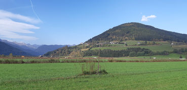 Wühlmäuse  erfolgreich unter Kontrolle halten.jpg © Greisberger Wühlmäuse  erfolgreich unter Kontrolle halten.jpg © Greisberger