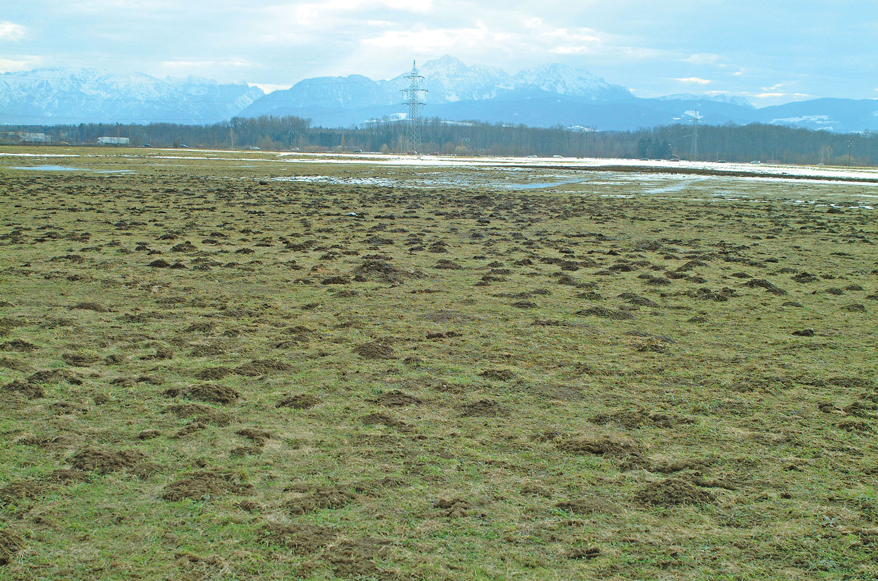 Wühlmäuse  erfolgreich unter Kontrolle halten.jpg © Dürnberger Wühlmäuse  erfolgreich unter Kontrolle halten.jpg © Dürnberger