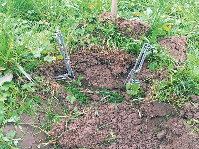 Wühlmäuse  erfolgreich unter Kontrolle halten.jpg © Dürnberger Wühlmäuse  erfolgreich unter Kontrolle halten.jpg © Dürnberger