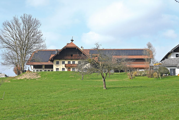 Top Erbgut für eine ausgeglichene Limousin-Herde.jpg © Mooslechner Top Erbgut für eine ausgeglichene Limousin-Herde.jpg © Mooslechner