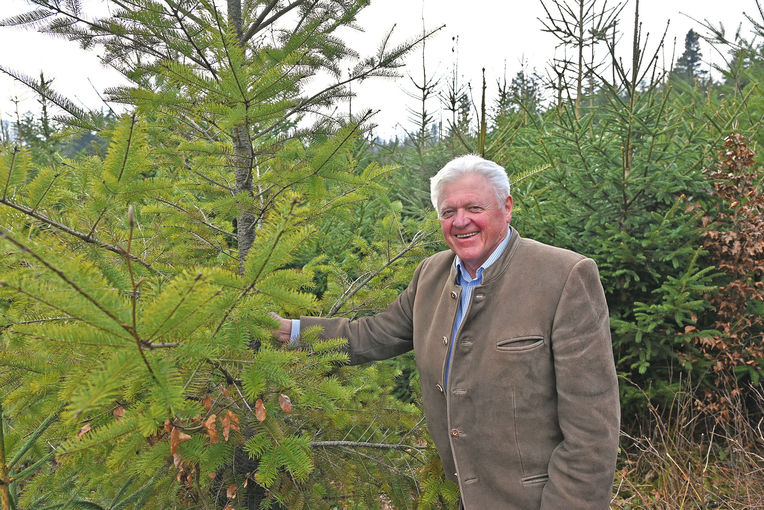 Top Erbgut für eine ausgeglichene Limousin-Herde.jpg © Mooslechner