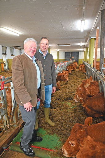 Top Erbgut für eine ausgeglichene Limousin-Herde.jpg © Mooslechner