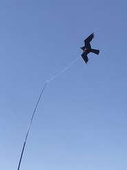 flugdrachen_gerstl marion.jpg © Marion Gerstl