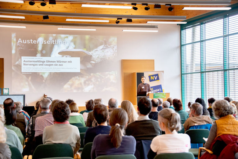 45 - Waldpädagogik im Gespräch_dielechnerei (45).jpg © dielechnerei/LK Niederösterreich