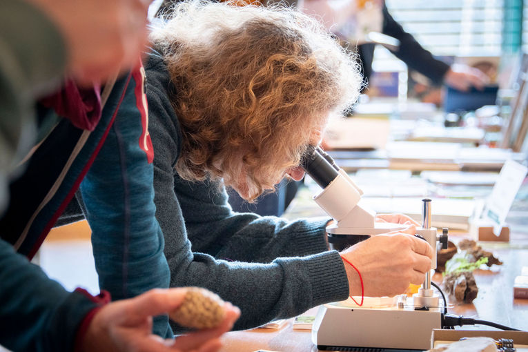 46 - Waldpädagogik im Gespräch_dielechnerei (46).jpg © dielechnerei/LK Niederösterreich