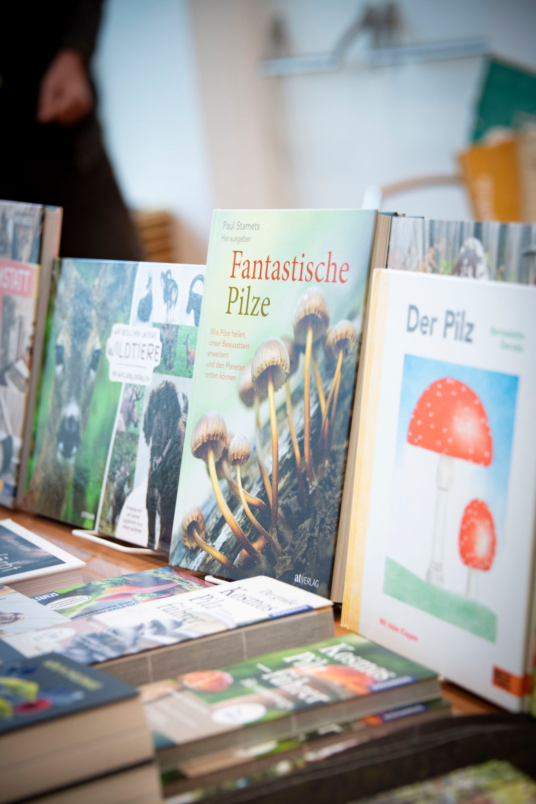 © dielechnerei/LK Niederösterreich © dielechnerei/LK Niederösterreich