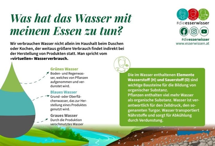 ERLE Esserwisser Beitrag Wasser Bauer 11 12 zu ÖHV Textteilinserat.jpg