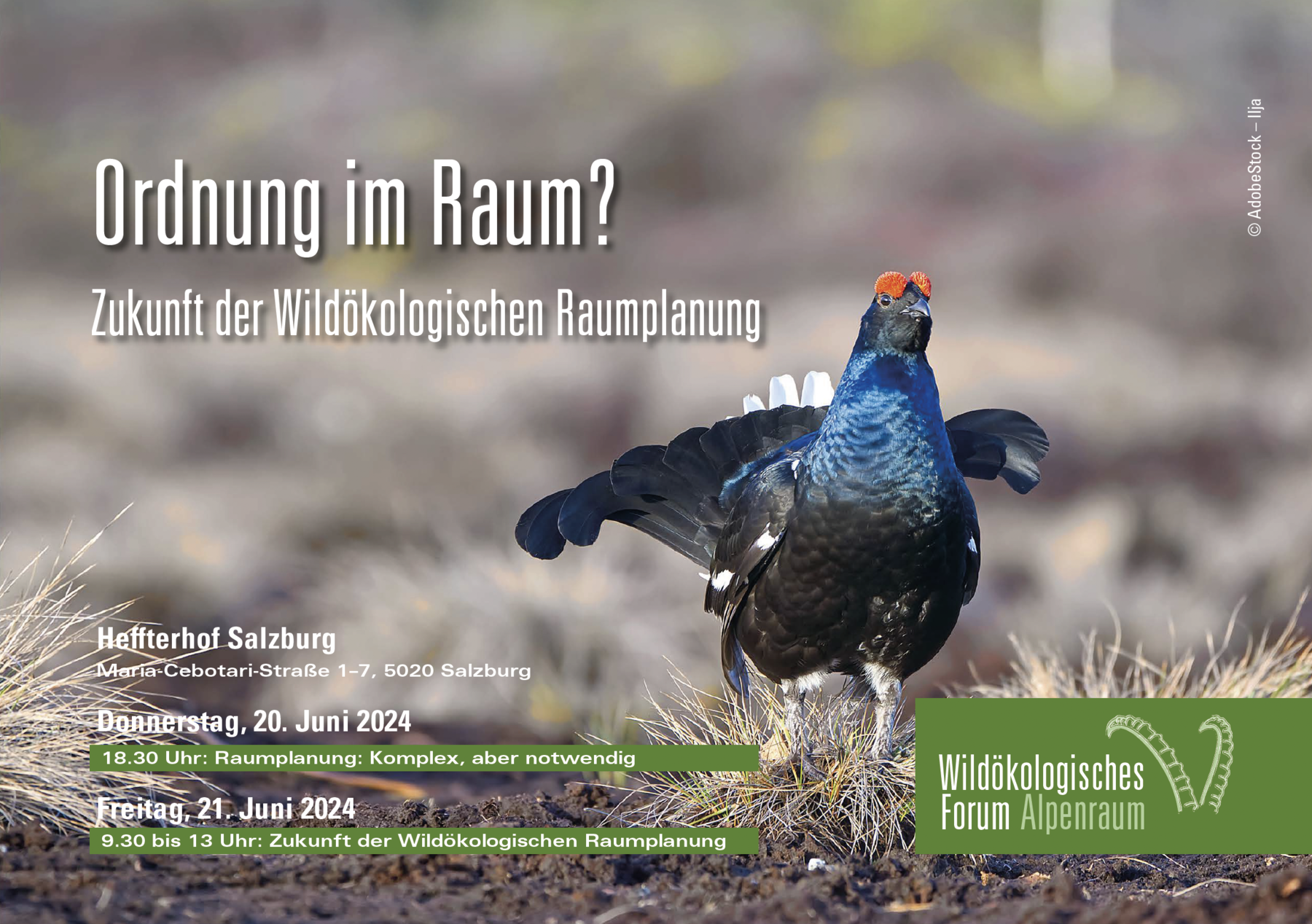 Einladung WÖFA24.png © Adobe Stock/Ilja Einladung WÖFA24.png © Adobe Stock/Ilja
