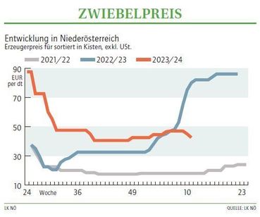 Grafik Zwiebelpreis 11 2024.jpg