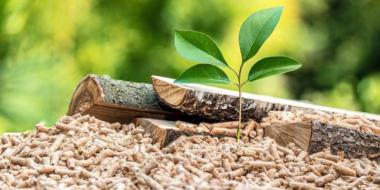 Biomasse.jpg © Tiero/stock.adobe.com Biomasse.jpg © Tiero/stock.adobe.com