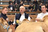 © August Bittermann/LK Niederösterreich © August Bittermann/LK Niederösterreich