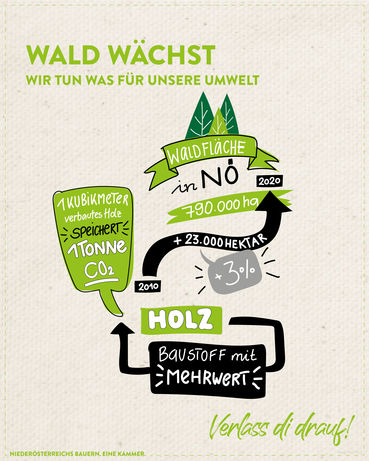 Grafik_Waldflaeche.jpg © LK Niederösterreich