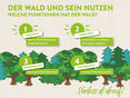 Grafik_Wald © LK Niederösterreich