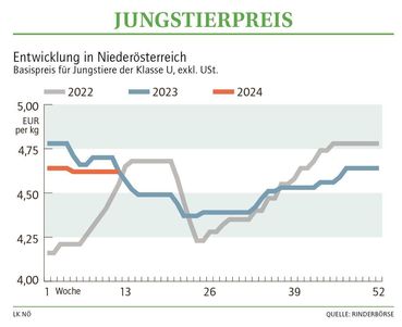 Grafik Stierpreis 12_2024.jpg © LK NÖ