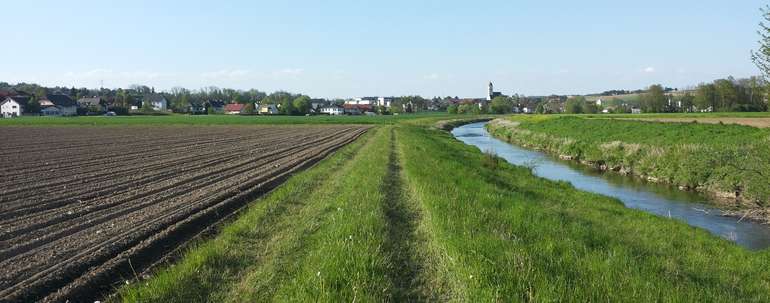 Pufferstreifer entlang von Oberflächengewässern