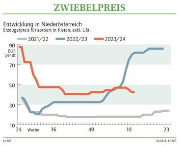 Grafik Zwiebelpreis 12 2024.jpg