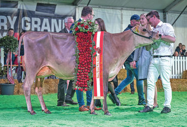 11. Dairy Grand Prix Austria zeigte noch nie dagewesene Qualität.jpg © Fleur Maartje 11. Dairy Grand Prix Austria zeigte noch nie dagewesene Qualität.jpg © Fleur Maartje