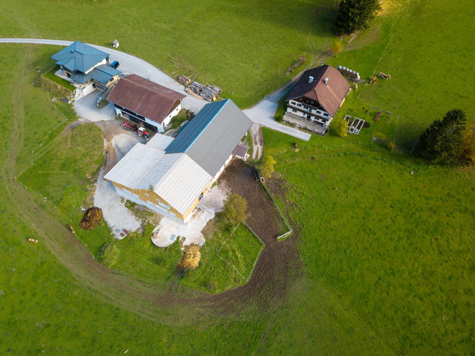 Voggenhof in Abtenau: Manchmal kommt es anders als gedacht.jpg