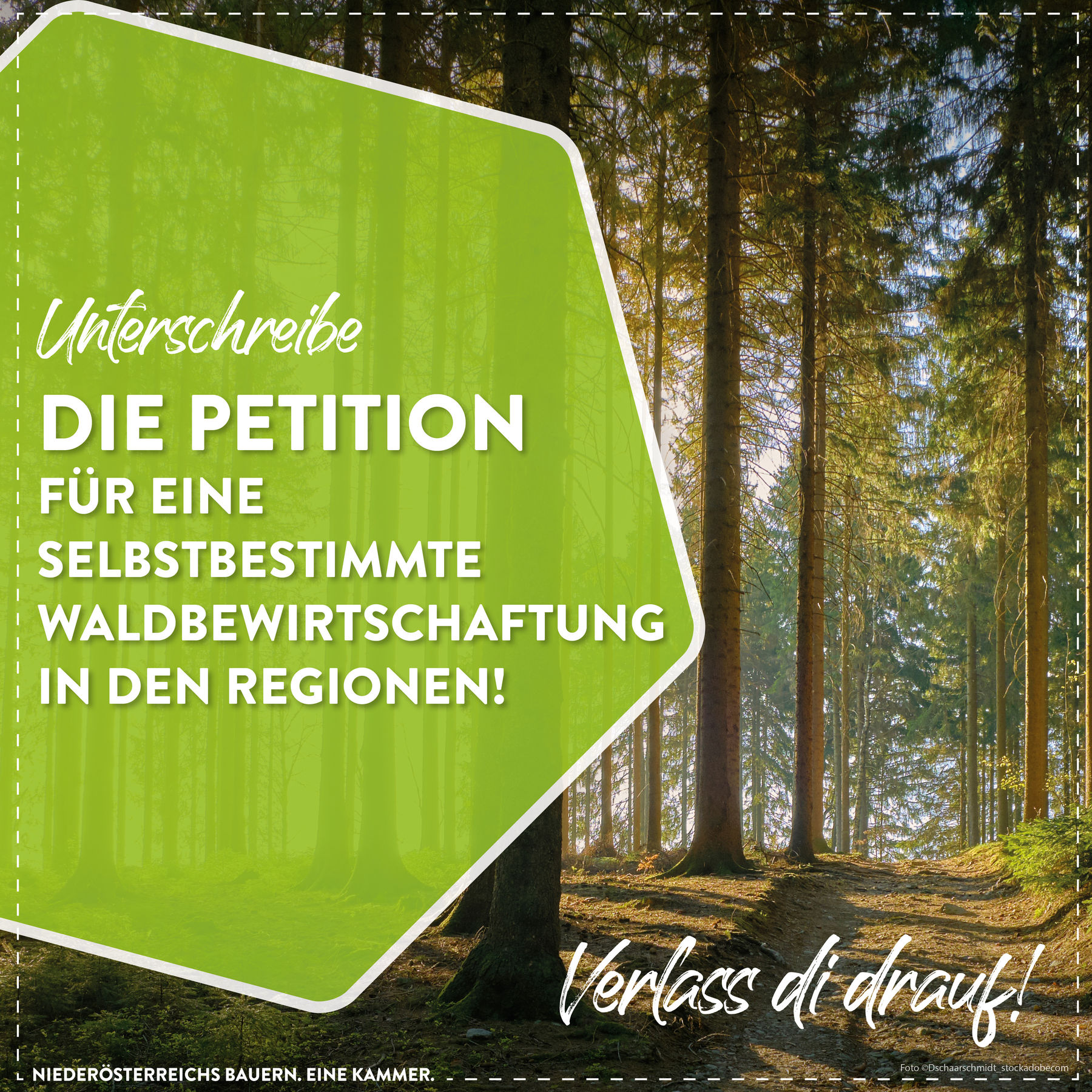 Posting Petition Wald.jpg