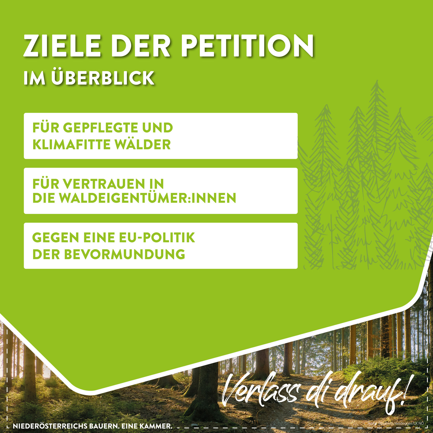 Posting Petition Wald2.jpg