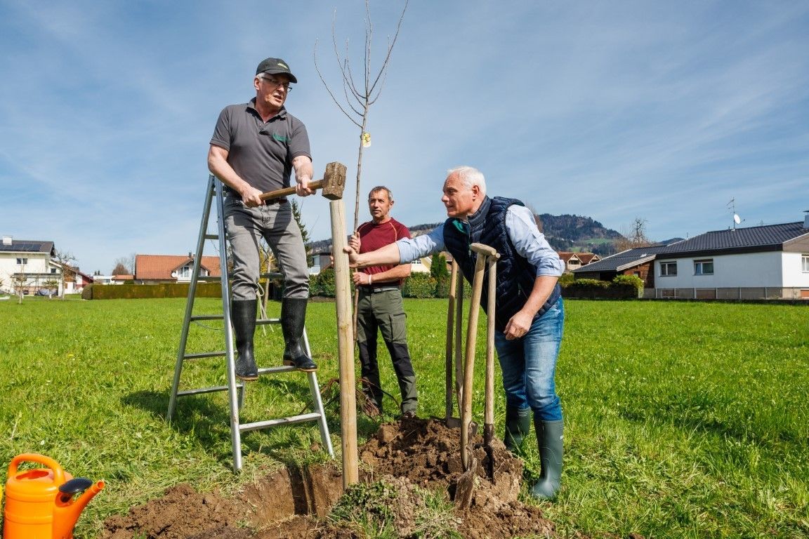 1.500 neue Obstbäume fürs Ländle