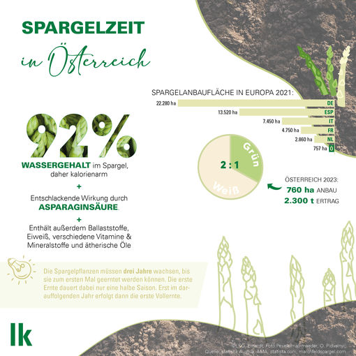 Spargel-Grafik 2024 - 1