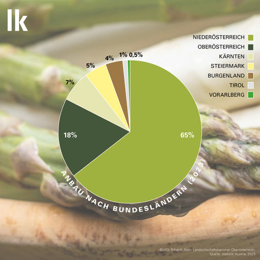 Spargel-Grafik 2024 - 4