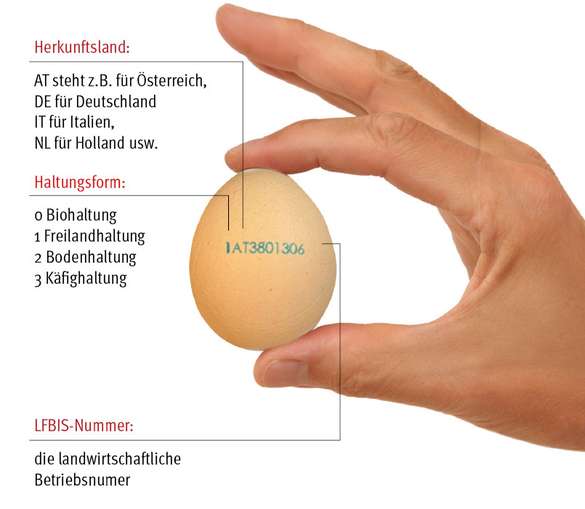 Stempel auf dem Ei