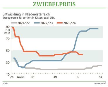 Grafik Zwiebelpreis 13_2024.jpg © LK NÖ