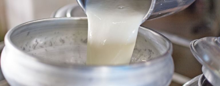 Milchpreis 2023 beinahe ident zum Vorjahr © Adobe Stock/sinhyu