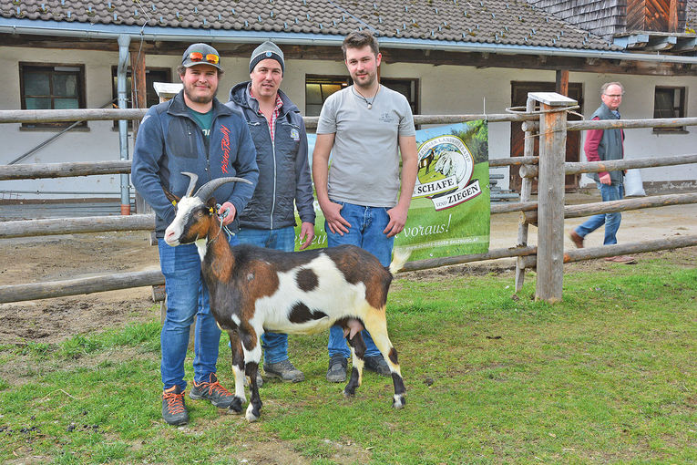 Breites Angebot lockte zahlreiche Käufer nach Maishofen.jpg