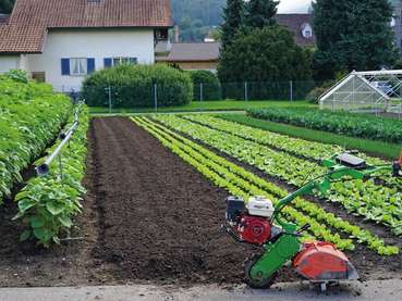 Beetvorbereitung©LK Vbg 4c (Mittel).jpg © LK Vbg. Beetvorbereitung©LK Vbg 4c (Mittel).jpg © LK Vbg.