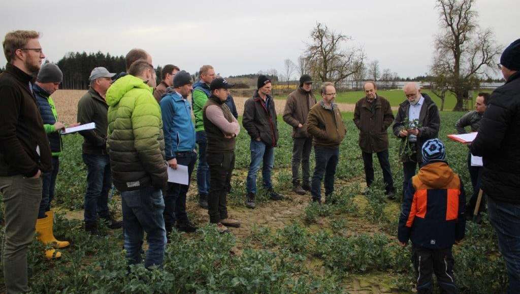 Frühjahrs-Feldbegehung Arbeitskreis Allhaming und Pucking, 26. März 2024 Frühjahrs-Feldbegehung Arbeitskreis Allhaming und Pucking, 26. März 2024