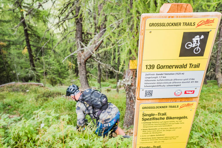 Gornerwald Trail, Bikepark Gro├ƒglockner_TVB Osttirol_Kalchhauser Ronald_Kals am Gro├ƒglockner Kopie.jpg © Archiv