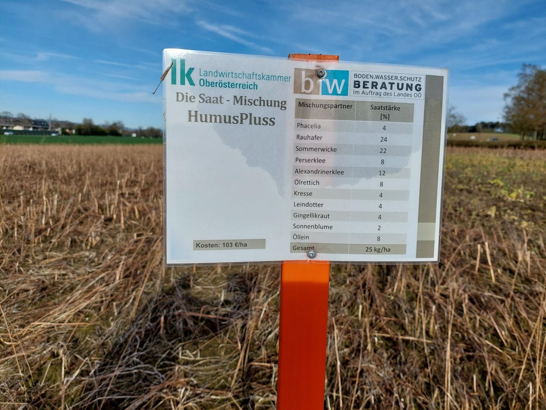 Die Zwischenfruchtvarianten mit abfrostenden Komponenten sind optimal abgefroren und haben das Unkraut bzw. Ausfallgetreide sehr gut unterdrückt. Die krümelige Bodenstruktur und das Bodenleben sind top! Stichwort Bodenleben - auch die Mäuse fühlen sich wohl - Sitzstangen aufstellen! Die Basis für eine optimale, bodenschonende und erosionsmindernde Mulch- bzw. Direktsaat ist gelegt! © BWSB Die Zwischenfruchtvarianten mit abfrostenden Komponenten sind optimal abgefroren und haben das Unkraut bzw. Ausfallgetreide sehr gut unterdrückt. Die krümelige Bodenstruktur und das Bodenleben sind top! Stichwort Bodenleben - auch die Mäuse fühlen sich wohl - Sitzstangen aufstellen! Die Basis für eine optimale, bodenschonende und erosionsmindernde Mulch- bzw. Direktsaat ist gelegt! © BWSB