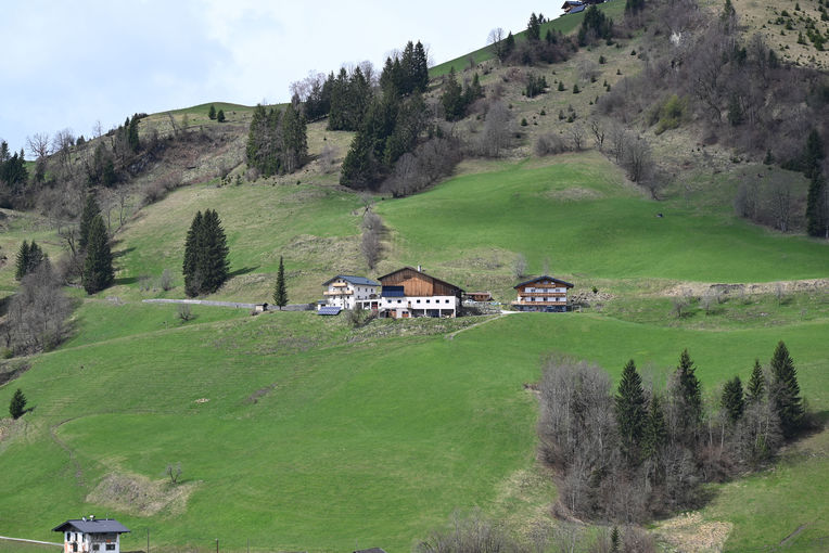 Landwirtschaft braucht starke Stimme.jpg © Christine Mooslechner