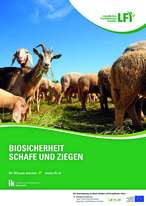 Titelblatt Broschüre Biosicherheit Schafe und Ziegen