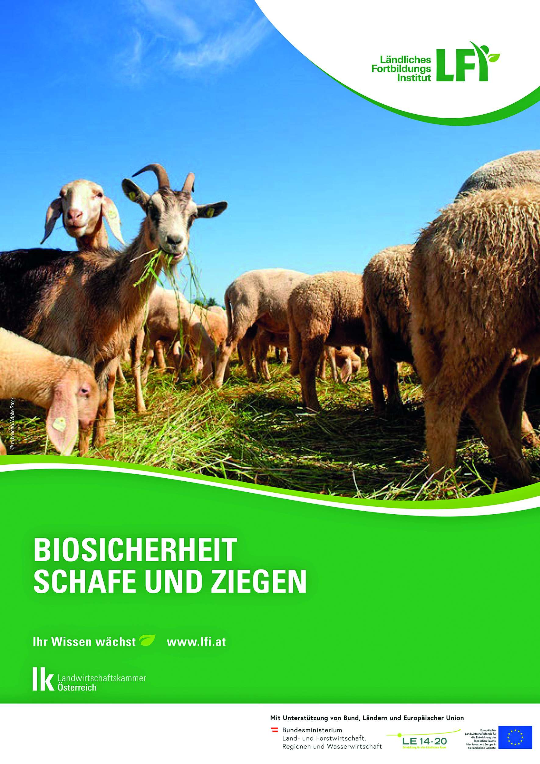 Titelblatt Broschüre Biosicherheit Schafe und Ziegen