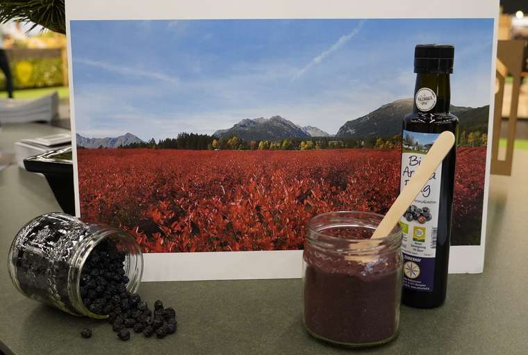 sb15_mt_feld.jpg © Dürnberger sb15_mt_feld.jpg © Dürnberger