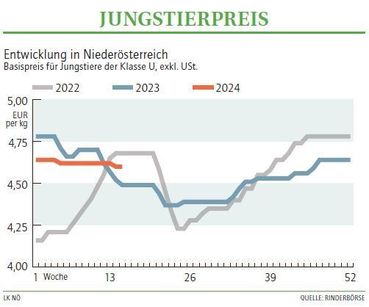 Grafik Stierpreis 15_2024.jpg © LK NÖ