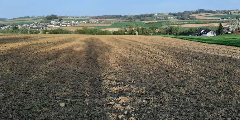 10 08.04.2024 Fläche nach dem Fräsen.jpg