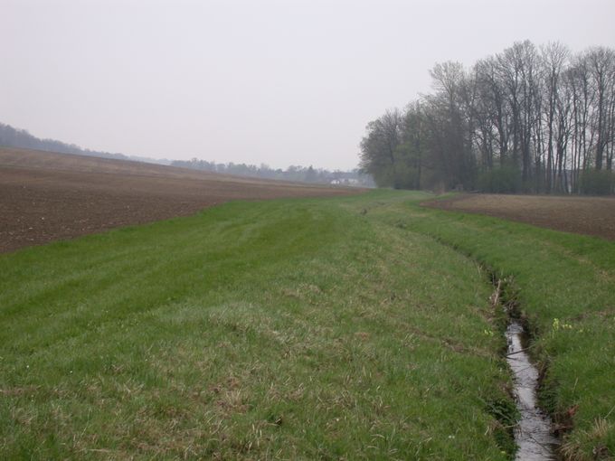 Gewässer mit angelegtem Randstreifen.jpg © LK OÖ/Köppl Gewässer mit angelegtem Randstreifen.jpg © LK OÖ/Köppl