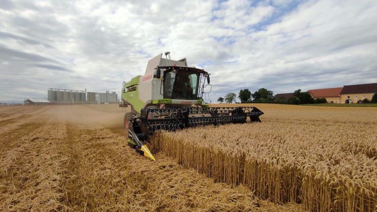 Pfl_AMA-Gütesiegel für Ackerbauern_klein.jpg © Landwirtschaftskammer OÖ Pfl_AMA-Gütesiegel für Ackerbauern_klein.jpg © Landwirtschaftskammer OÖ