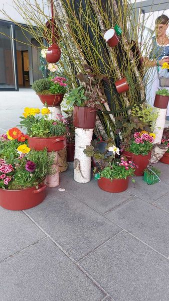 IMG-20240411-WA0012.jpg IMG-20240411-WA0012.jpg