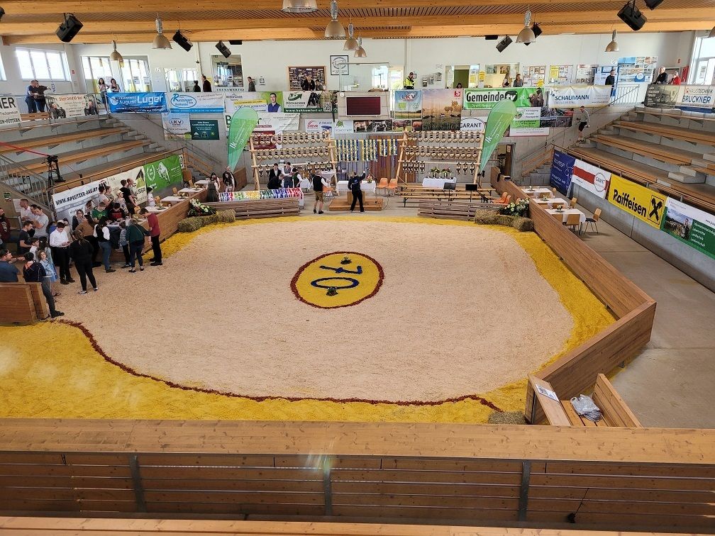 20240414_083236.jpg © Johannes Fitzthum 20240414_083236.jpg © Johannes Fitzthum