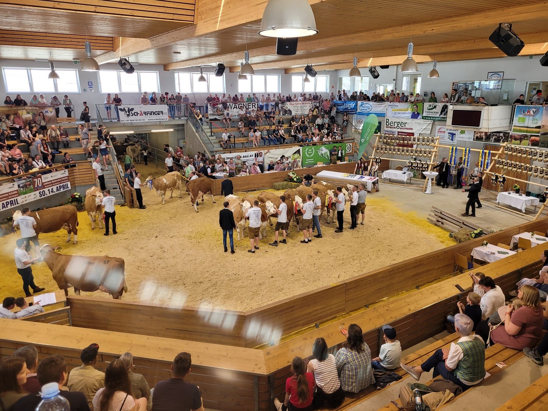 20240414_144015.jpg © Johannes Fitzthum 20240414_144015.jpg © Johannes Fitzthum