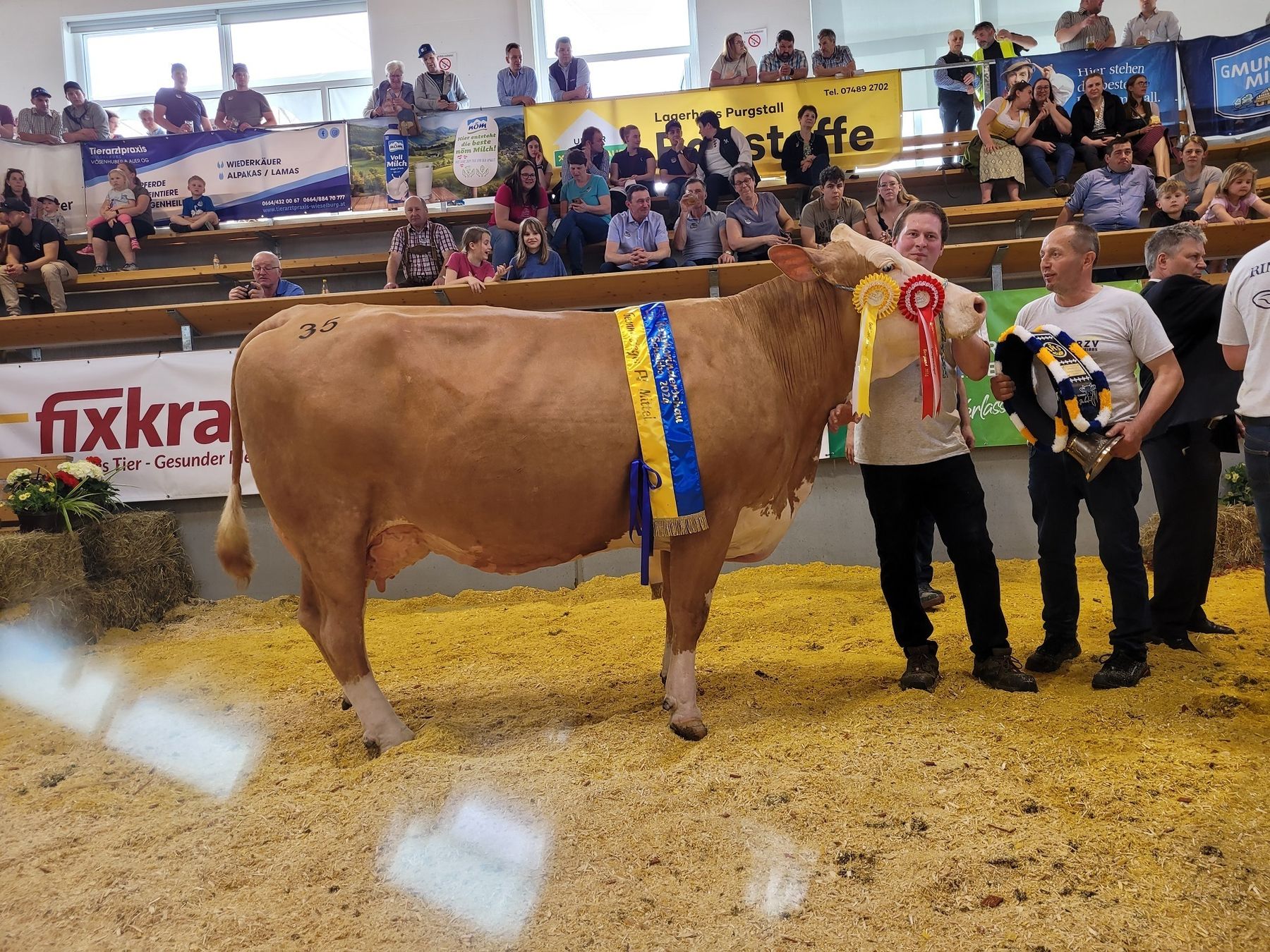 20240414_144910.jpg © Johannes Fitzthum 20240414_144910.jpg © Johannes Fitzthum