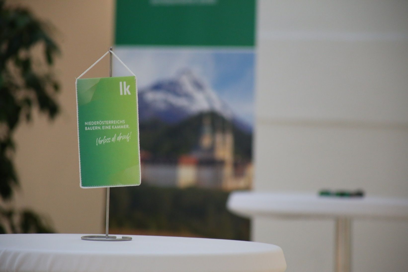 00_Empfang (2).jpg 00_Empfang (2).jpg